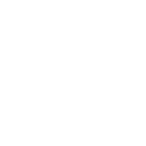 Chanel logo white