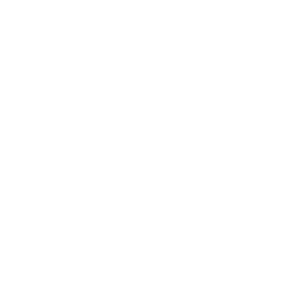 Imagebox logo white