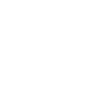 Spike Design logo white